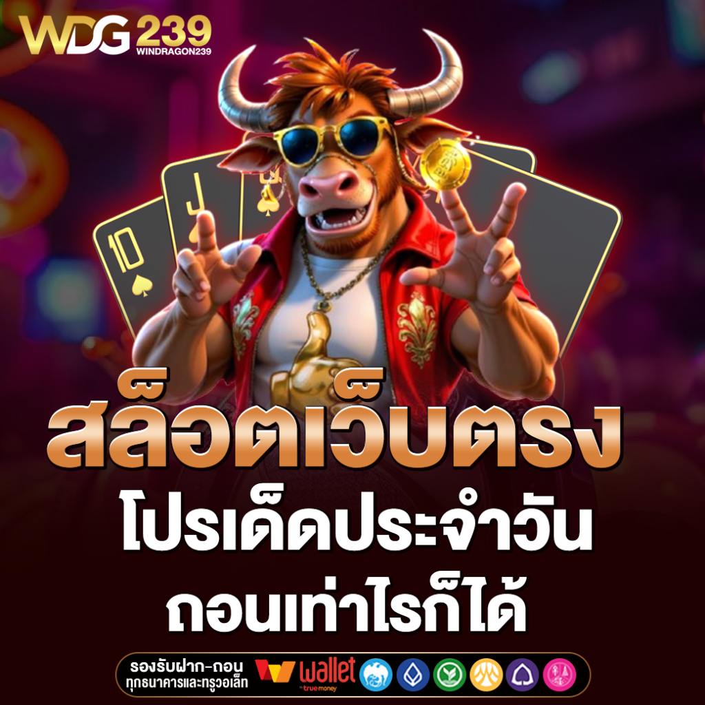 WINDRAGON239