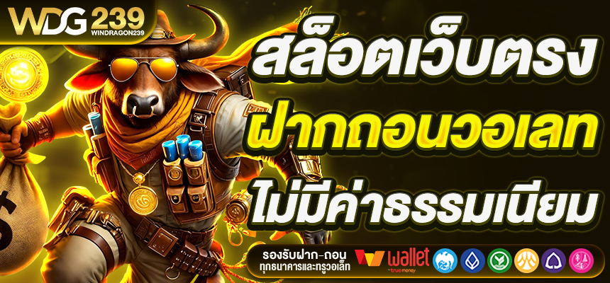 WINDRAGON239